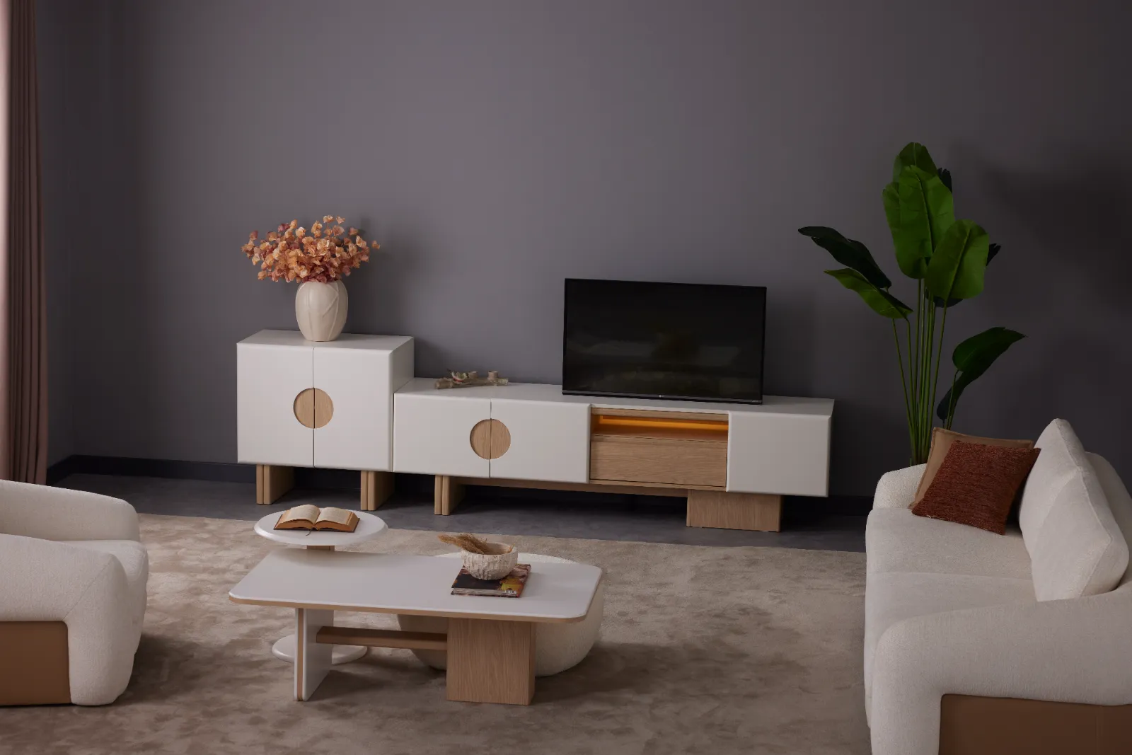 LİSA TV ÜNİTESİ - Görsel 3